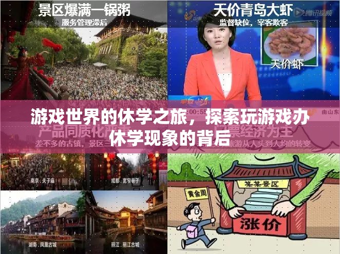 游戲世界的休學(xué)之旅，探索網(wǎng)絡(luò)游戲與教育休學(xué)的交織現(xiàn)象
