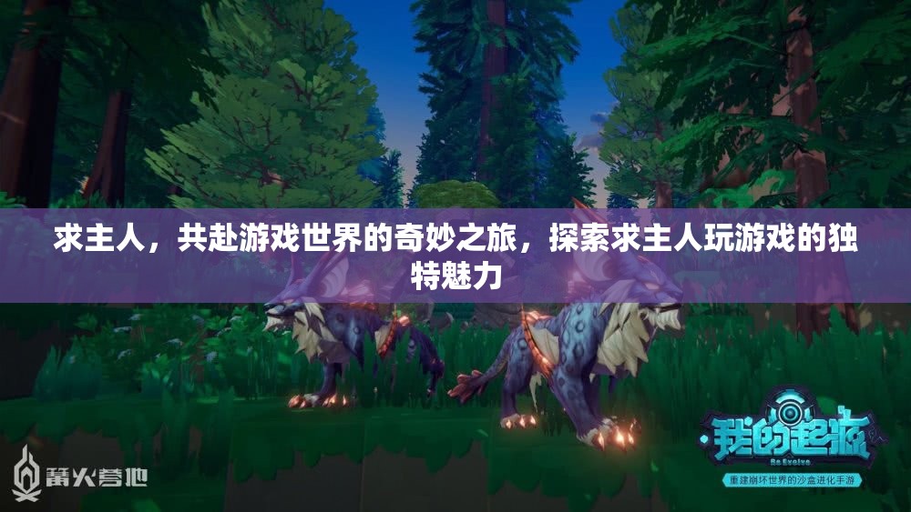 求主共游，探索游戲世界的奇妙之旅與獨特魅力