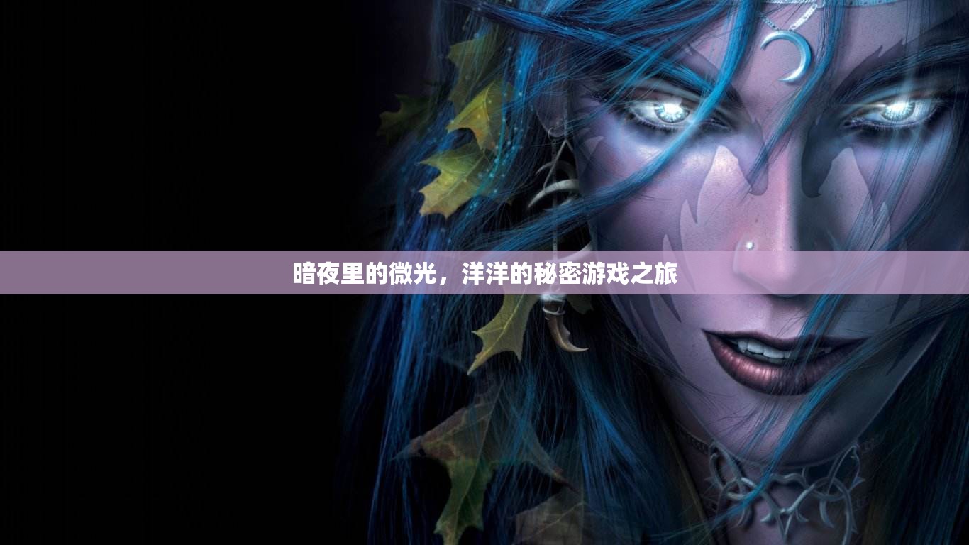 暗夜里的微光，洋洋的秘密游戲之旅
