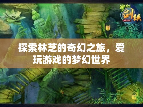林芝奇幻之旅，愛玩游戲者的夢(mèng)幻世界探索