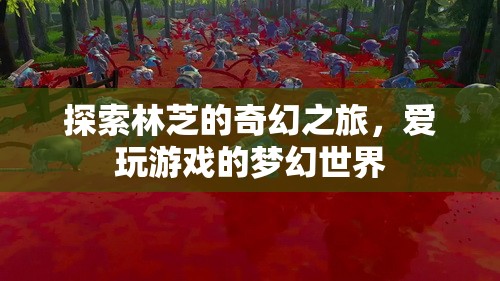 林芝奇幻之旅，愛玩游戲者的夢(mèng)幻世界探索