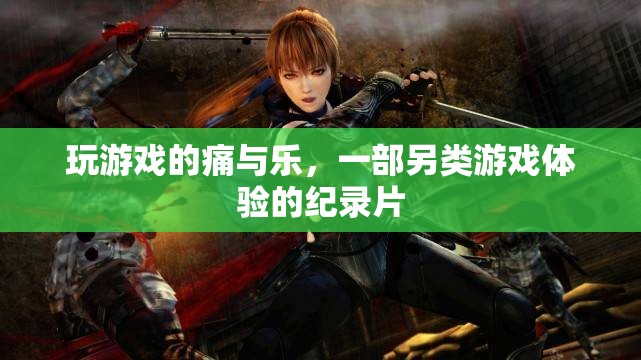 游戲之痛與樂，另類游戲體驗(yàn)的探索