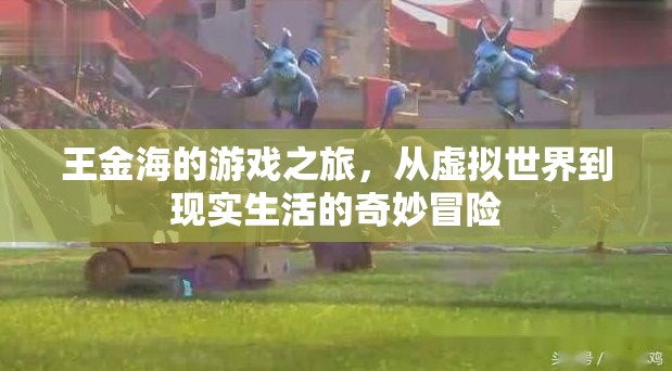王金海，從虛擬游戲到現(xiàn)實(shí)生活的奇妙冒險(xiǎn)之旅