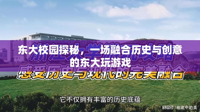 東大校園探秘，歷史與創(chuàng)意的完美交融