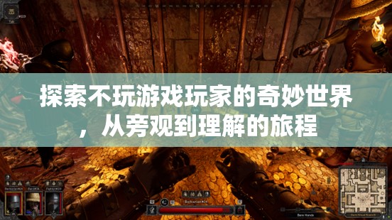 從旁觀到理解，探索不玩游戲玩家的奇妙世界
