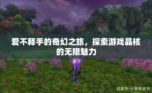 晶核，探索游戲中的奇幻之旅，愛不釋手的魅力