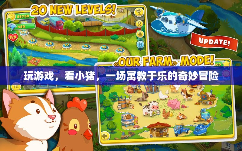 寓教于樂(lè)，小豬探險(xiǎn)的奇妙游戲之旅