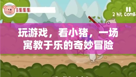 寓教于樂(lè)，小豬探險(xiǎn)的奇妙游戲之旅