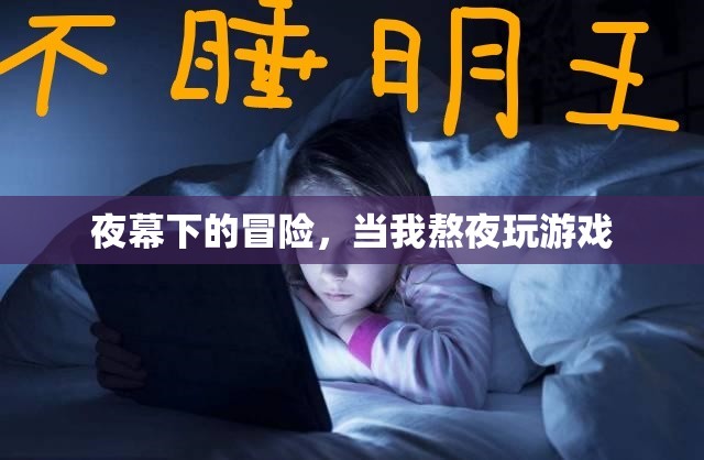夜幕下的冒險(xiǎn)，我的熬夜游戲之旅