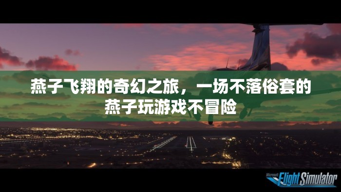 燕子飛翔的奇幻冒險，不落俗套的燕子游戲