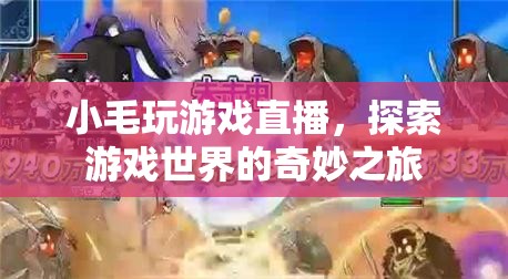小毛的直播之旅，探索游戲世界的奇妙冒險(xiǎn)