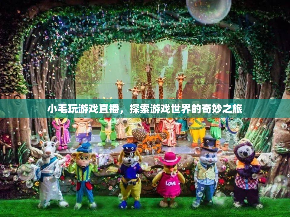 小毛的直播之旅，探索游戲世界的奇妙冒險(xiǎn)