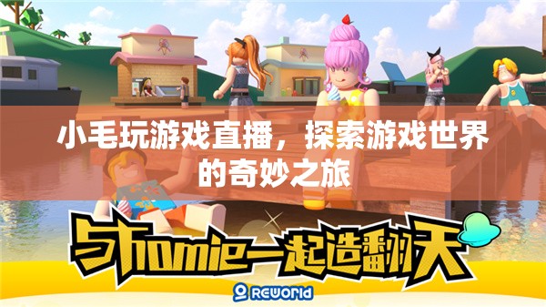 小毛的直播之旅，探索游戲世界的奇妙冒險(xiǎn)