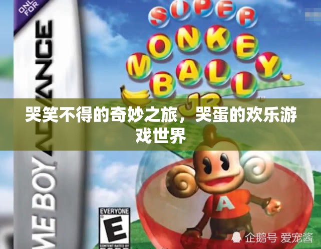 哭笑不得的奇妙之旅，哭蛋的歡樂游戲世界
