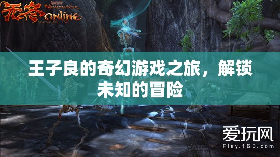 王子良的奇幻游戲之旅，解鎖未知的冒險
