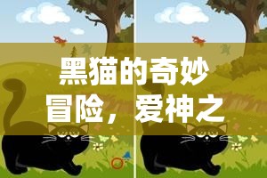 黑貓的奇幻之旅，揭秘愛神之謎