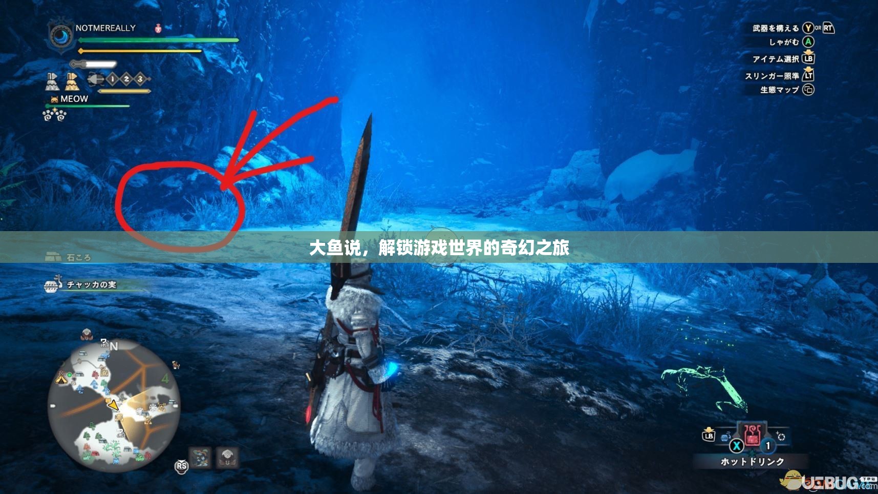 解鎖奇幻之旅，大魚帶你遨游游戲世界
