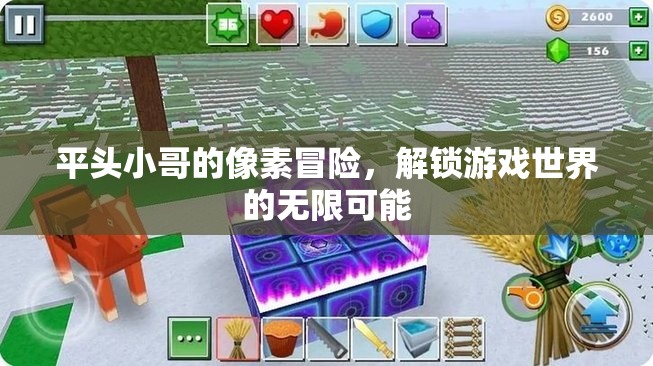 平頭小哥的像素奇旅，解鎖游戲世界的無限可能