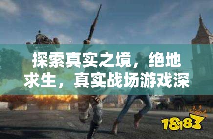 絕地求生，真實戰(zhàn)場游戲的深度探索與解析