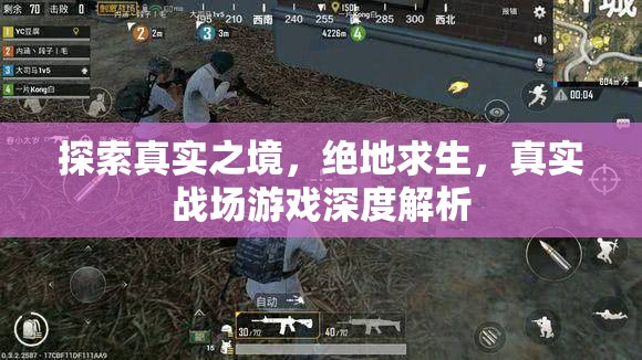 絕地求生，真實戰(zhàn)場游戲的深度探索與解析