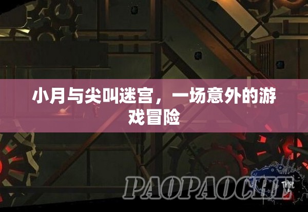 小月與尖叫迷宮，一場意外的游戲冒險之旅