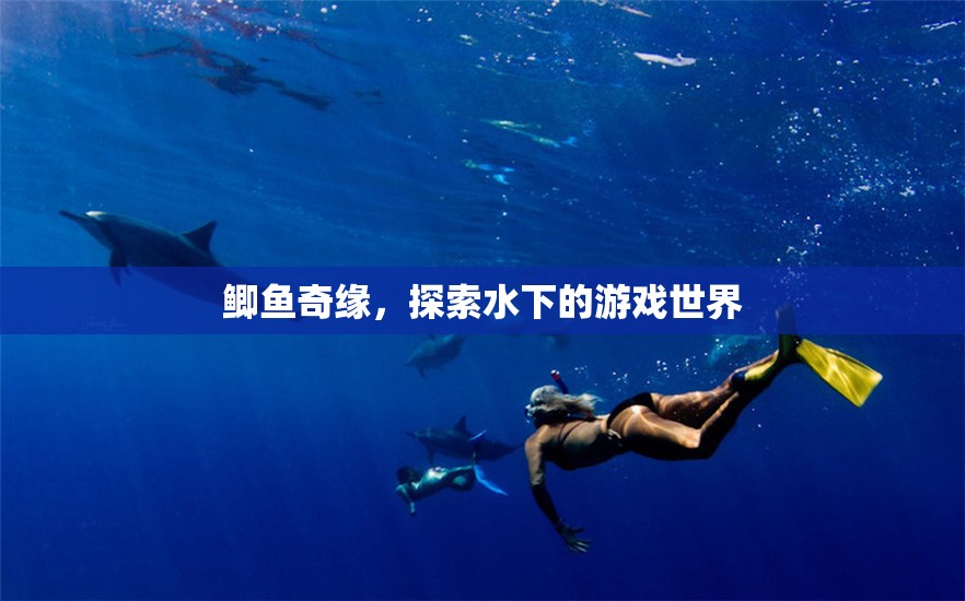 鯽魚(yú)奇緣，探索水下的游戲世界