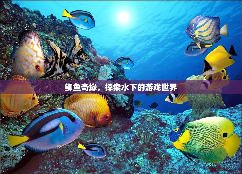 鯽魚(yú)奇緣，探索水下的游戲世界