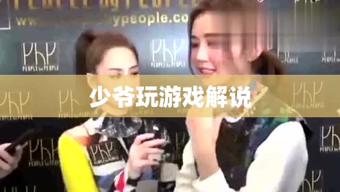 少爺?shù)木视螒蚪庹f，帶你領(lǐng)略游戲世界的魅力