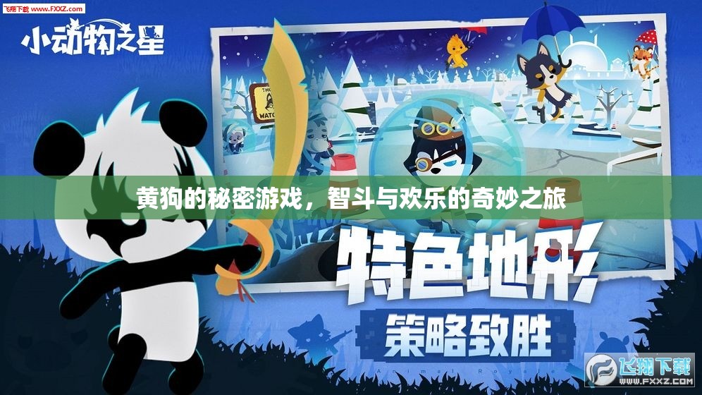 黃狗的秘密游戲，智斗與歡樂的奇妙冒險(xiǎn)