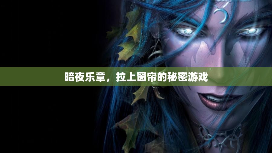 暗夜樂(lè)章，拉上窗簾后的秘密游戲