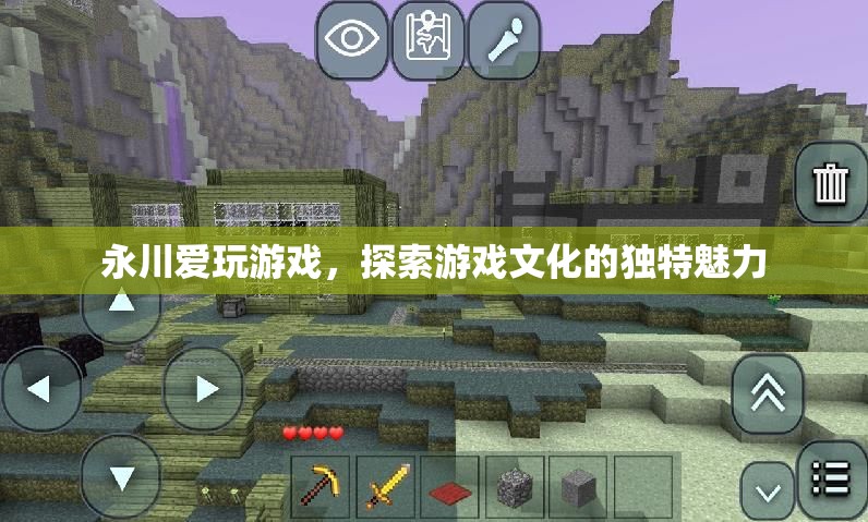 永川愛玩，探索游戲文化的獨特魅力
