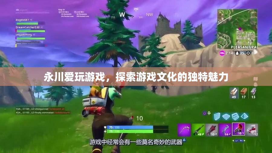 永川愛玩，探索游戲文化的獨特魅力