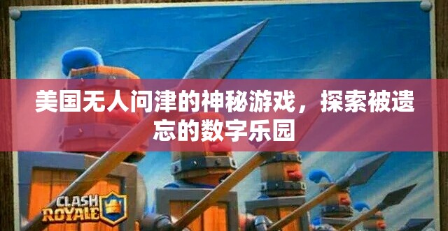 被遺忘的數(shù)字樂園，揭秘美國無人問津的神秘游戲