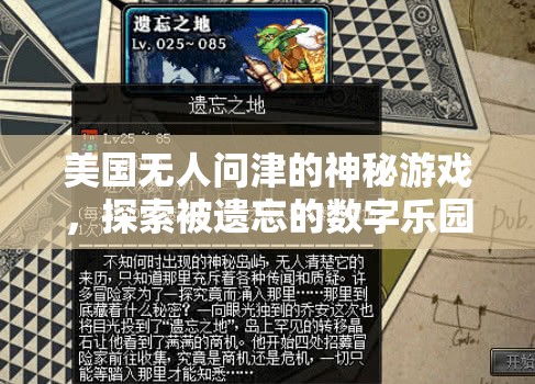 被遺忘的數(shù)字樂園，揭秘美國無人問津的神秘游戲