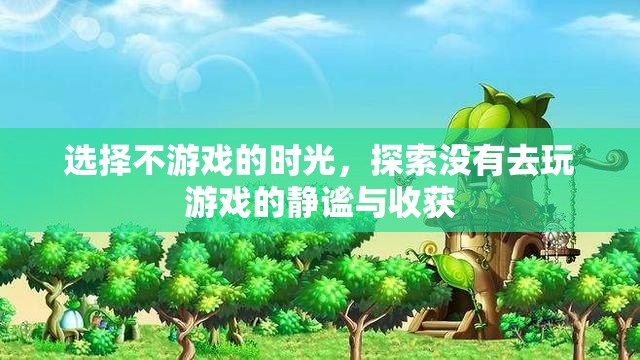 靜謐時光，探索不游戲的收獲與靜謐之美