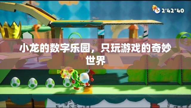 小龍的數(shù)字樂(lè)園，探索只玩游戲的奇妙世界