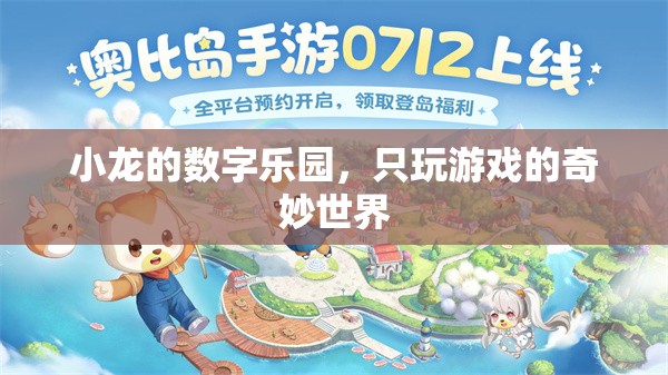 小龍的數(shù)字樂(lè)園，探索只玩游戲的奇妙世界