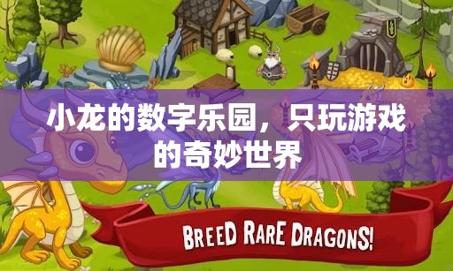 小龍的數(shù)字樂(lè)園，探索只玩游戲的奇妙世界