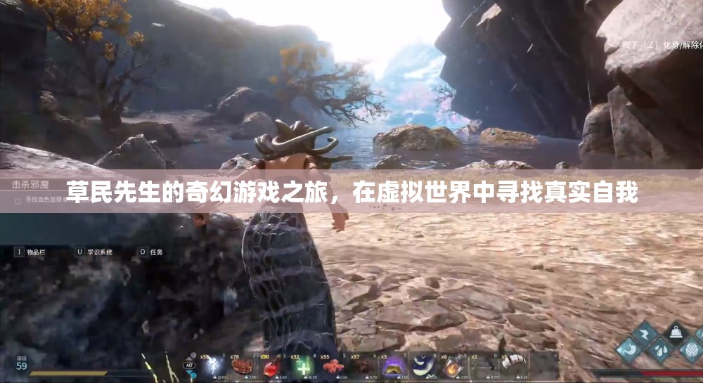 草民先生的奇幻游戲之旅，在虛擬世界中尋找真實自我