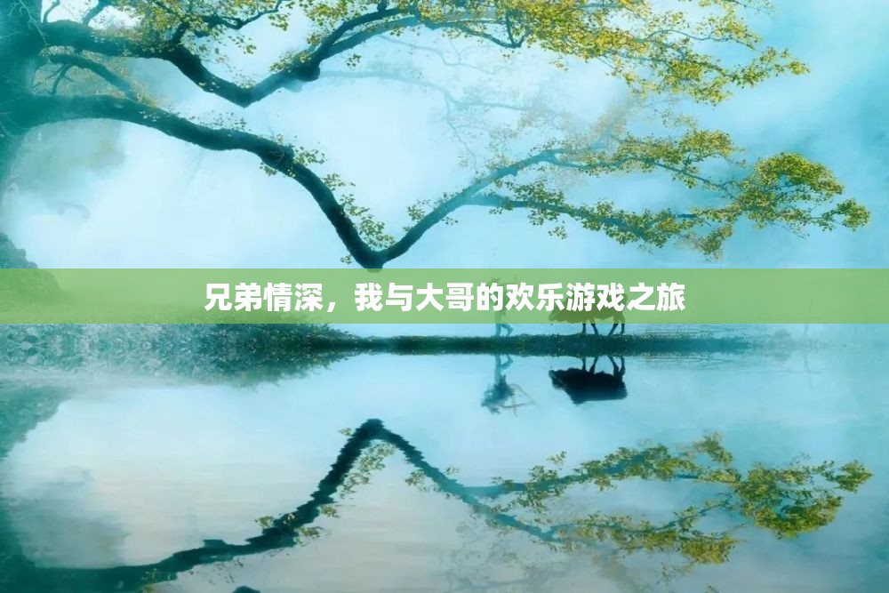 兄弟共舞，我與大哥的歡樂游戲之旅
