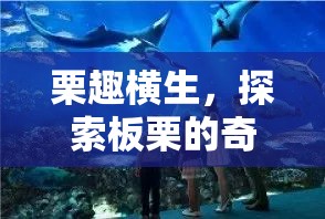 栗趣橫生，探索板栗的奇妙游戲之旅