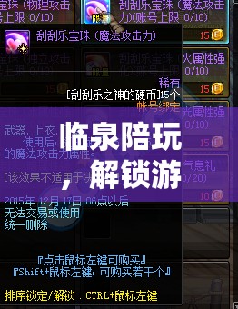 臨泉陪玩，解鎖游戲新體驗(yàn)的奇妙之旅