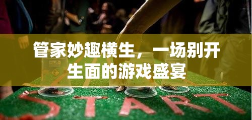 管家妙趣橫生，一場(chǎng)別開生面的游戲盛宴