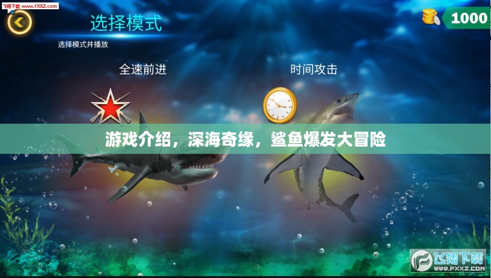 深海奇緣，鯊魚(yú)爆發(fā)大冒險(xiǎn)