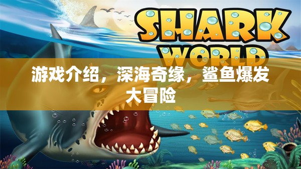 深海奇緣，鯊魚(yú)爆發(fā)大冒險(xiǎn)