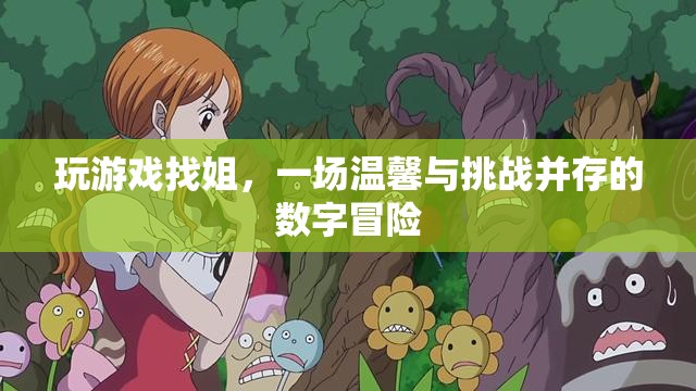 數(shù)字冒險(xiǎn)中的溫情挑戰(zhàn)，玩游戲找姐之旅