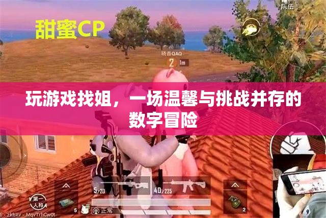 數(shù)字冒險(xiǎn)中的溫情挑戰(zhàn)，玩游戲找姐之旅