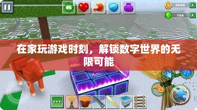 解鎖數(shù)字世界的無(wú)限可能，在家游戲時(shí)光的奇妙之旅