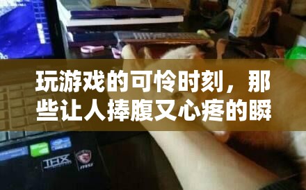 游戲中的笑中帶淚，那些既讓人捧腹又令人心疼的瞬間