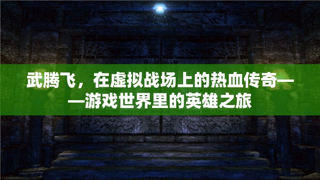 武騰飛，虛擬戰(zhàn)場上的熱血傳奇